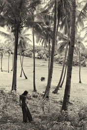 WILD INTENTIONS